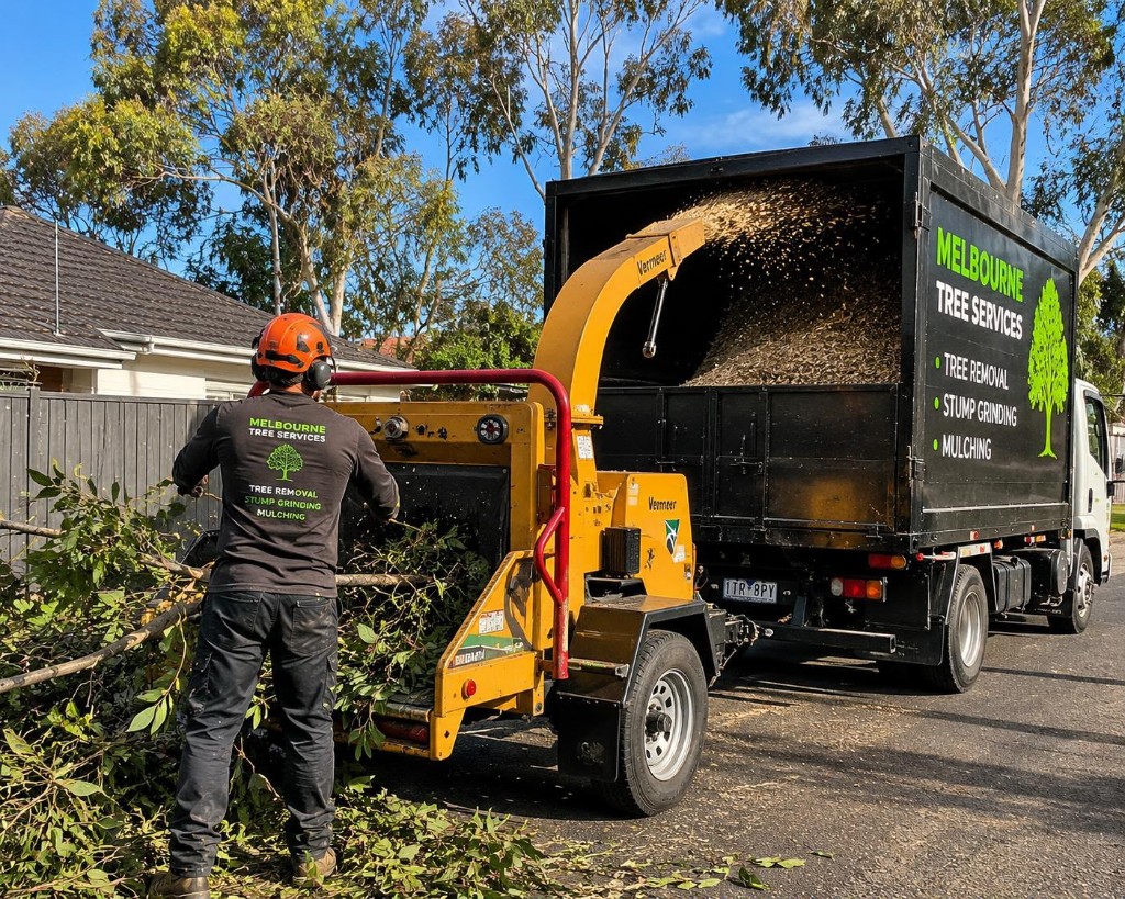 Melbourne Tree Services Arborist Care Crew working carefully with a wood chipper machinery asset
