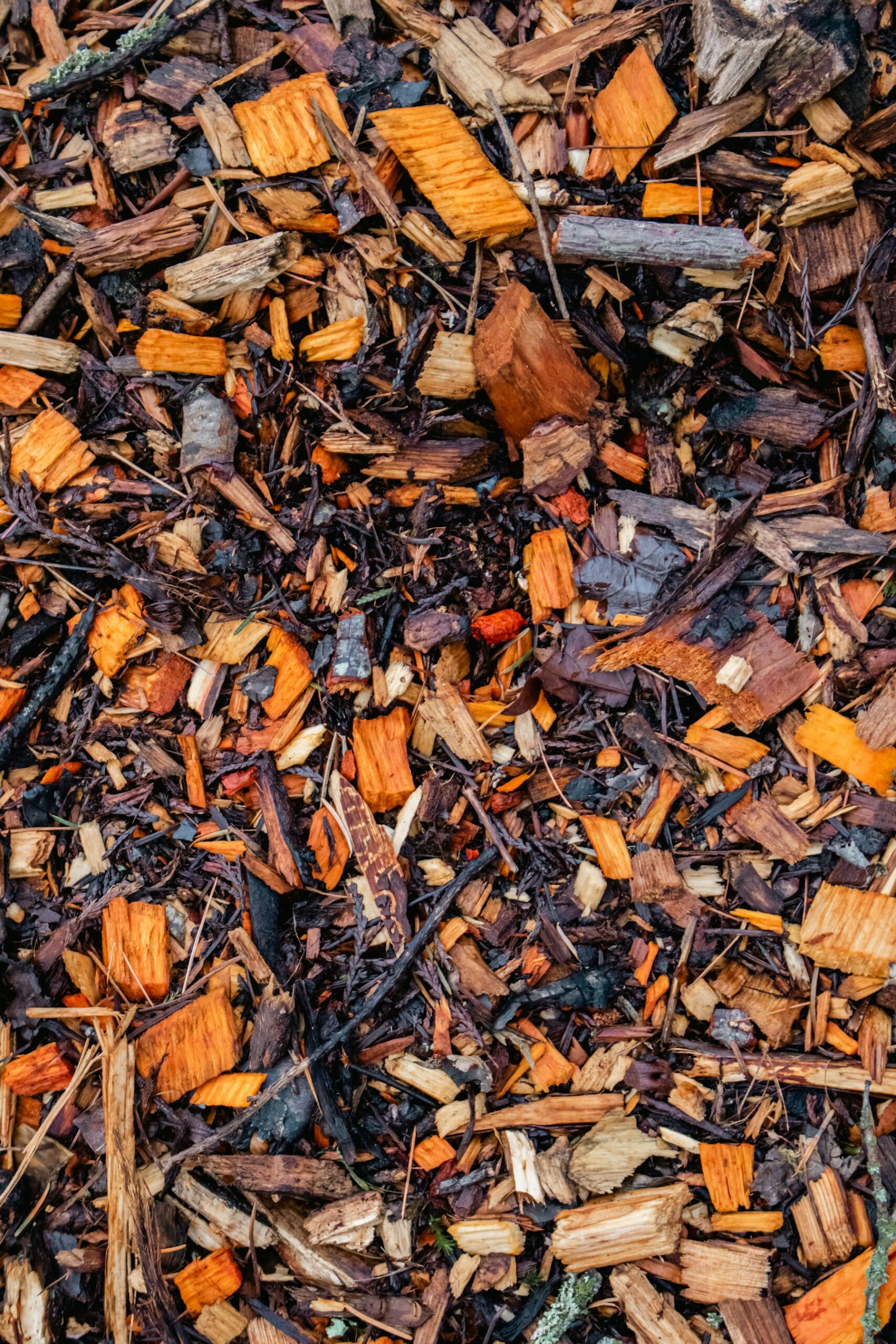 Mulching & Clean-Up