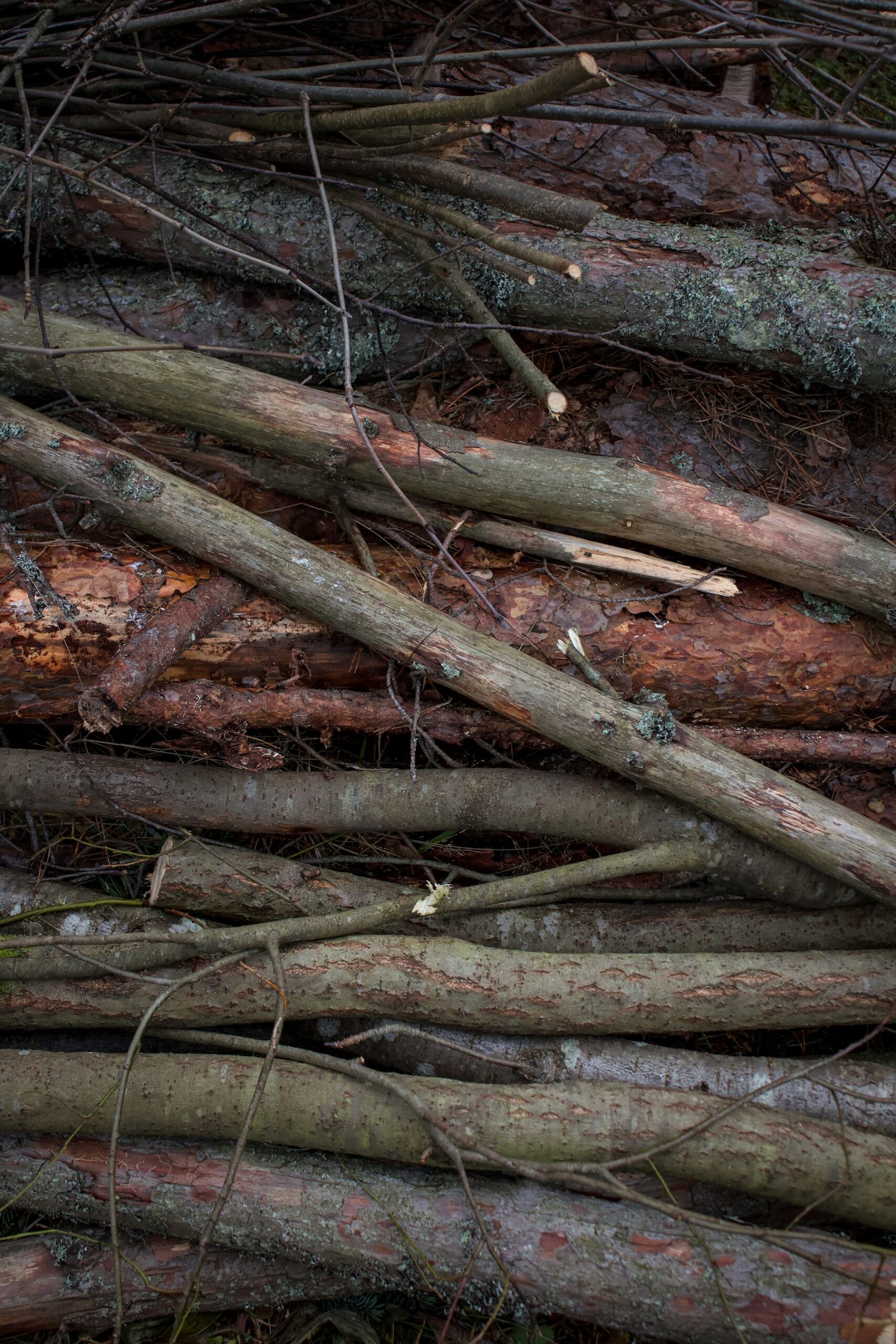 Tree & Green Waste Removal
